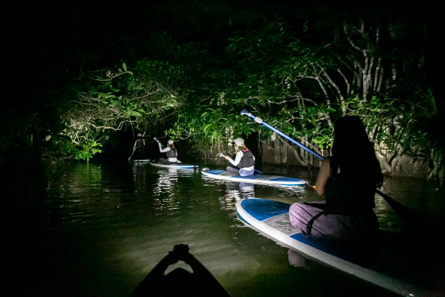 【沖縄・西表島・SUP】満天の星で癒しの時間を体感！ナイトSUPorカヌー体験 写真3