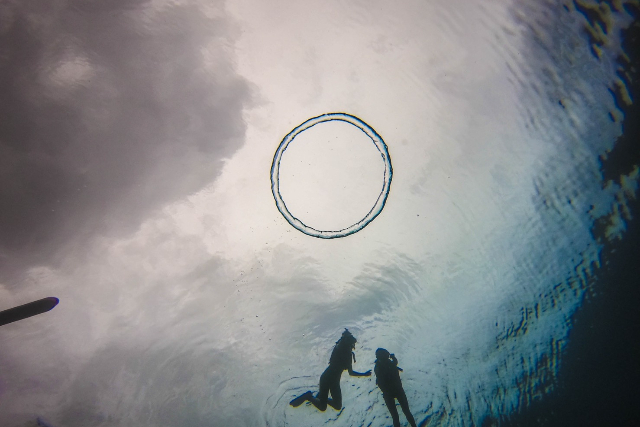 【沖縄・西表島・シュノーケリング】レアな魚と泳ぐトロピカルボートシュノーケリング（半日） 写真4