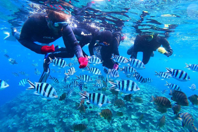 【沖縄・青の洞窟・シュノーケル】青の洞窟と熱帯魚の餌付け満喫！大人気GoPro写真＆動画無料★ 激レア！地元沖縄人ガイド★