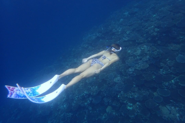 【沖縄・石垣島・シュノーケリング】海の人気者に会おう！マンタ+ウミガメ+サンゴ礁シュノーケル（半日） 写真5