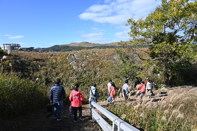 【期間限定ポイント10%還元！山口・秋吉台・トレッキング】お手軽1.5km！秋吉台の基本が学べる1時間 写真8
