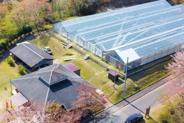 【期間限定ポイント10%還元！三重・津・イチゴ狩り】家族でいのさん農園のイチゴ狩りへ！（45分／食べ放題） 写真8