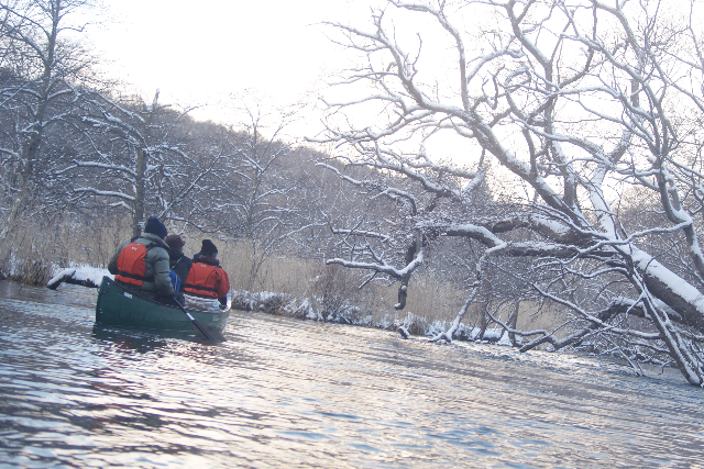【北海道・千歳川・カヌー】静寂に包まれた川を探検。千歳川ウィンターダウンリバー 写真3