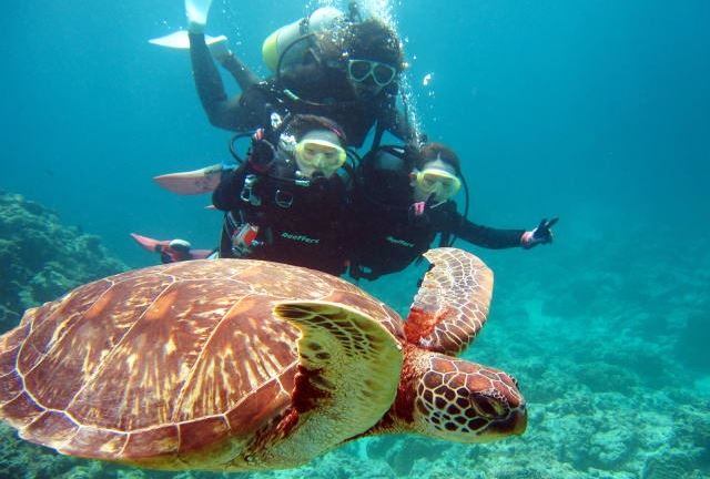 【体験】2つのポイントに潜れる贅沢ダイビング！ケラマの海を遊び尽くそう 写真4