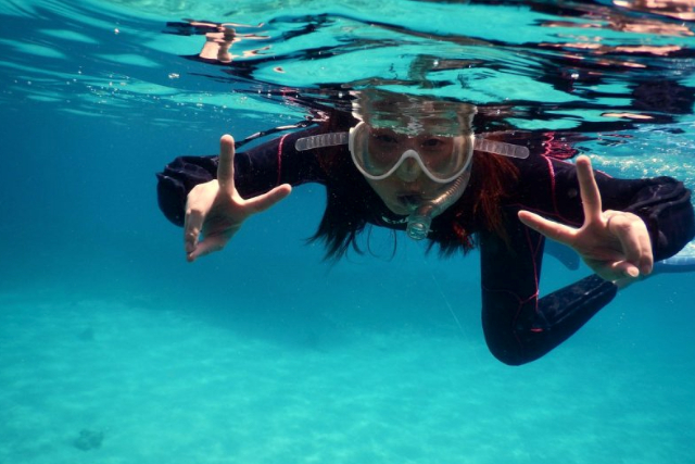 【奄美・体験ダイビング】シュノーケルも楽しめる！奄美の海を楽しみ尽くそう！（1日） 写真7