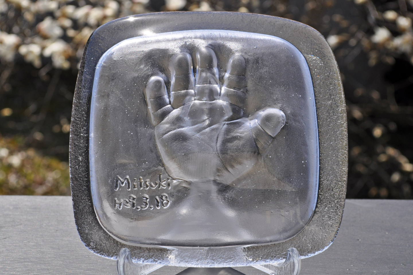 関西 誕生日 の遊び 体験 アソビュー