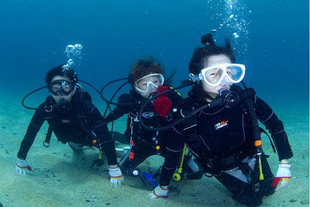 【屋久島・体験ダイビング・2ダイブ】たっぷり6時間！屋久島の海と一体になろう！ 写真7