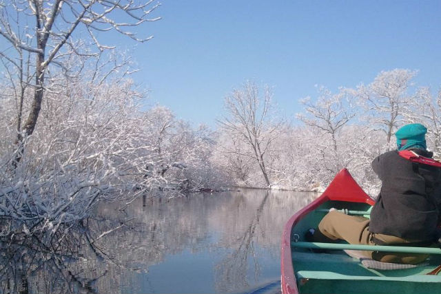 【釧路・カヌー】釧路湿原でウインターカヌー。冬だからこそ見られる景色を見に行こう！ 写真5