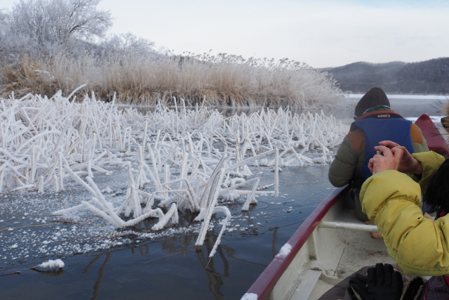 【釧路・カヌー】釧路湿原でウインターカヌー。冬だからこそ見られる景色を見に行こう！ 写真3