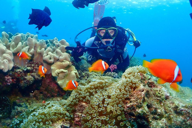 【沖縄・青の洞窟・体験ダイビング】青の洞窟と熱帯魚の餌付け満喫！完全貸切！大人気GoPro写真＆動画無料★ 激レア！地元沖縄人ガイド★ 写真2