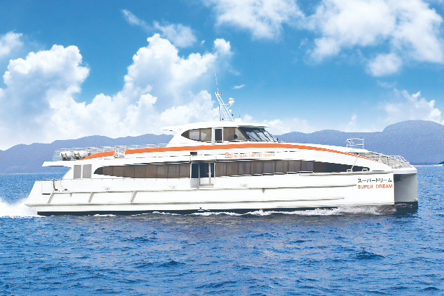 【沖縄・西表島・SUP】マングローブの森を満喫！西表島SUPクルーズ★乗船料、ランチ付き＜E-2S＞ 写真2