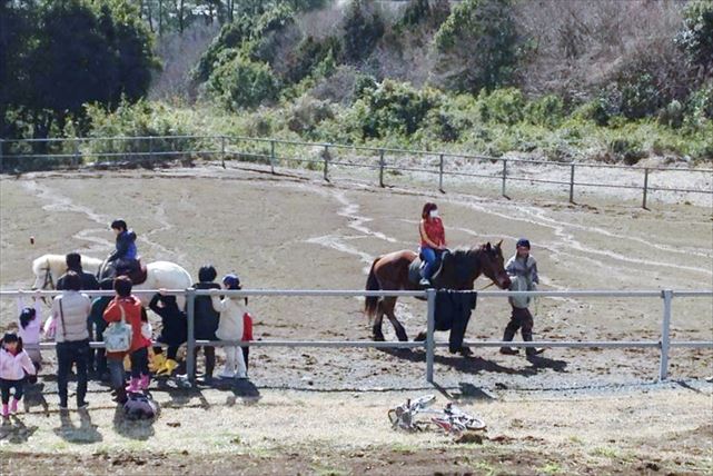 【茨城・乗馬】ビギナーさんOK！基本を楽しく学べる馬場内乗馬体験 写真3