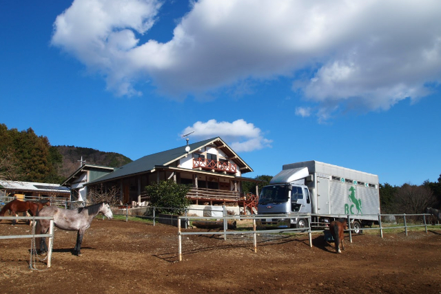 【茨城・乗馬】ビギナーさんOK！基本を楽しく学べる馬場内乗馬体験 写真7