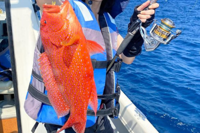 【沖縄・糸満・海釣り】沖縄の最高級魚を狙おう！手ぶらで大物釣り体験2時間 写真5