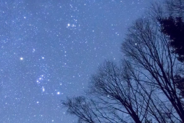 【長野・阿智・手ぶらバーベキュー】昼は阿智川、夜は星空を眺めながら楽しむ！充実のBBQコース 写真8