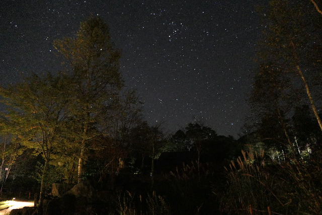 【長野・阿智村・ナイトツアー】幻想的な空間を冒険！ARナイトウォーク 写真4