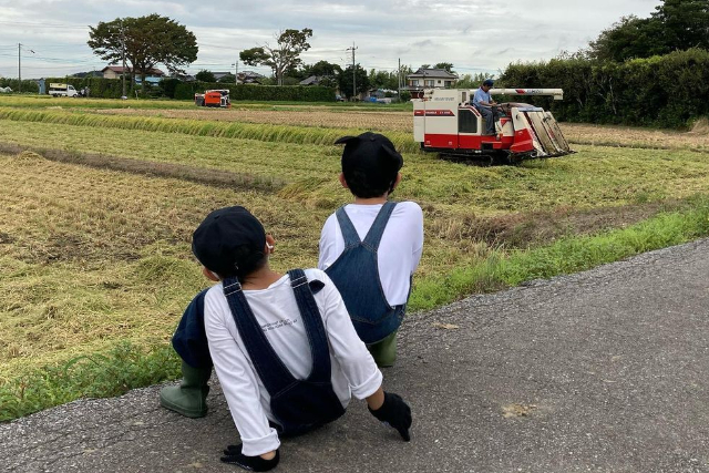【千葉・木更津・収穫体験】小学生以下無料・有機無農薬栽培のお野菜や果実を贅沢に収穫！特選コース 写真4
