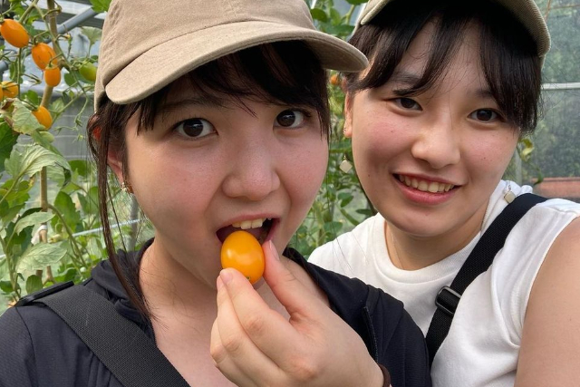 【千葉・木更津・収穫体験】小学生以下無料・有機無農薬栽培のお野菜や果実を贅沢に収穫！特選コース 写真7