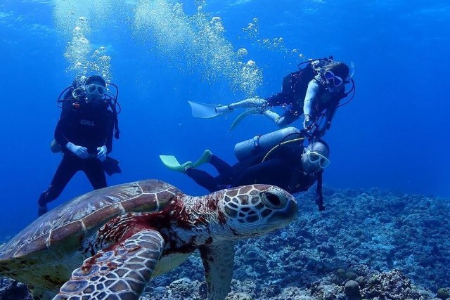 【沖縄・青の洞窟・体験ダイビング】早朝ならではの特別な体験！青の洞窟ダイビング 写真8