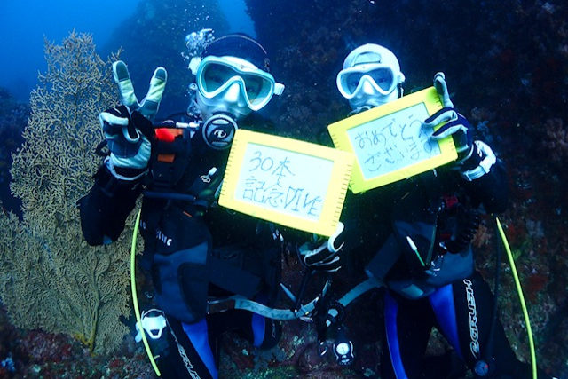 【静岡・熱海・ファンダイビング】自由に海を楽しめる！ファンダイビングコース 写真3