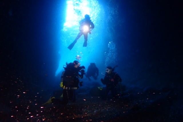 【静岡・熱海・ファンダイビング】自由に海を楽しめる！ファンダイビングコース 写真4