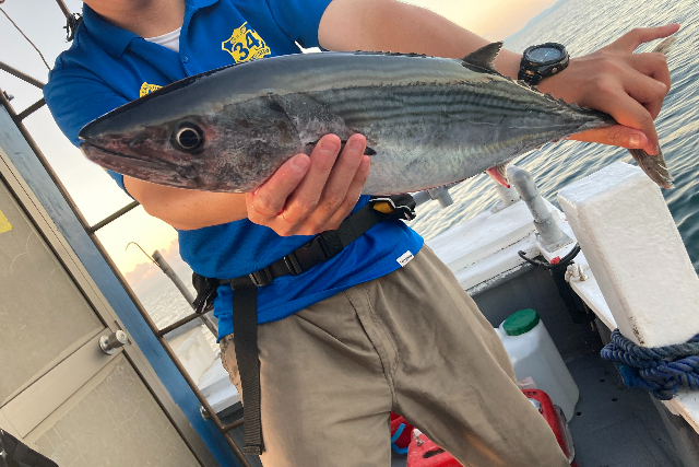 【鹿児島県・鹿児島市・船釣り】仲間だけで気ままに楽しむ！貸切ゆったり船釣りプラン
