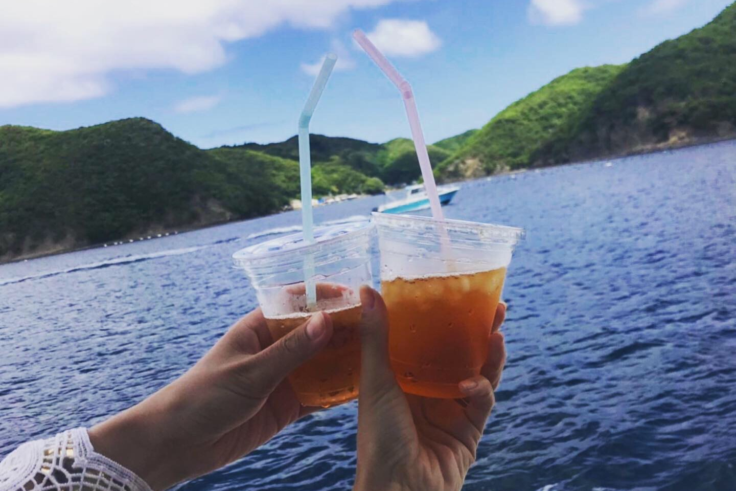 【長崎・対馬・クルージング】お菓子とドリンク付き！自然美を満喫する浅茅湾クルーズ 写真7