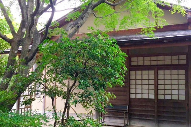 【京都府・京都市・着物レンタル】当店オリジナル体験！高台寺お抹茶拝観券付きプラン 写真4