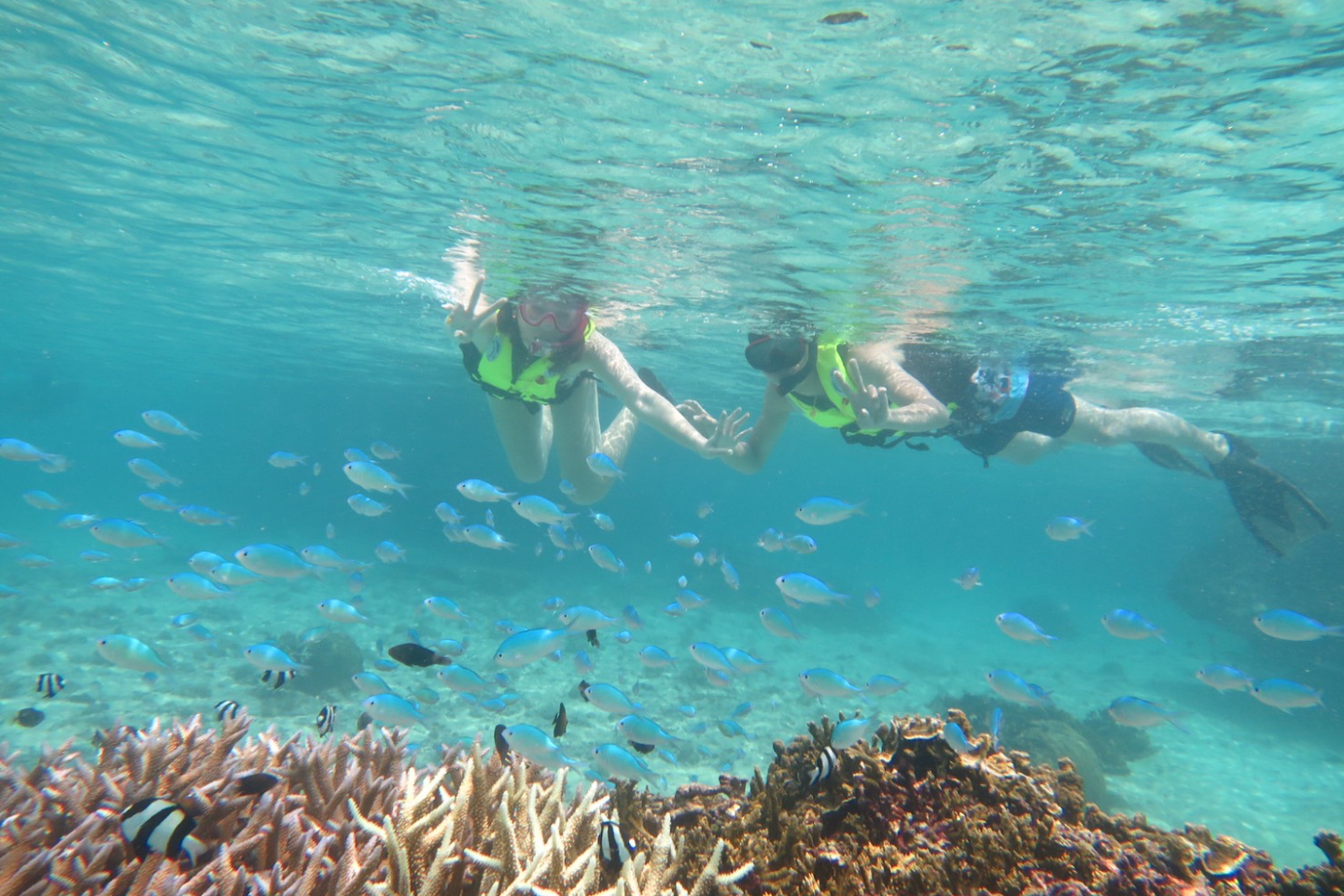 宮古島 やびじ ツアー の遊び 体験 アソビュー