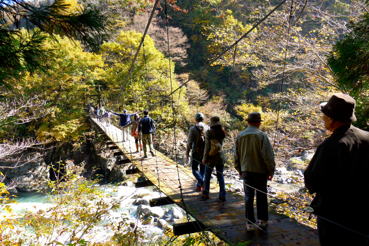 新潟県のバスツアーの予約 日本旅行 オプショナルツアー アクティビティ 遊びの体験予約