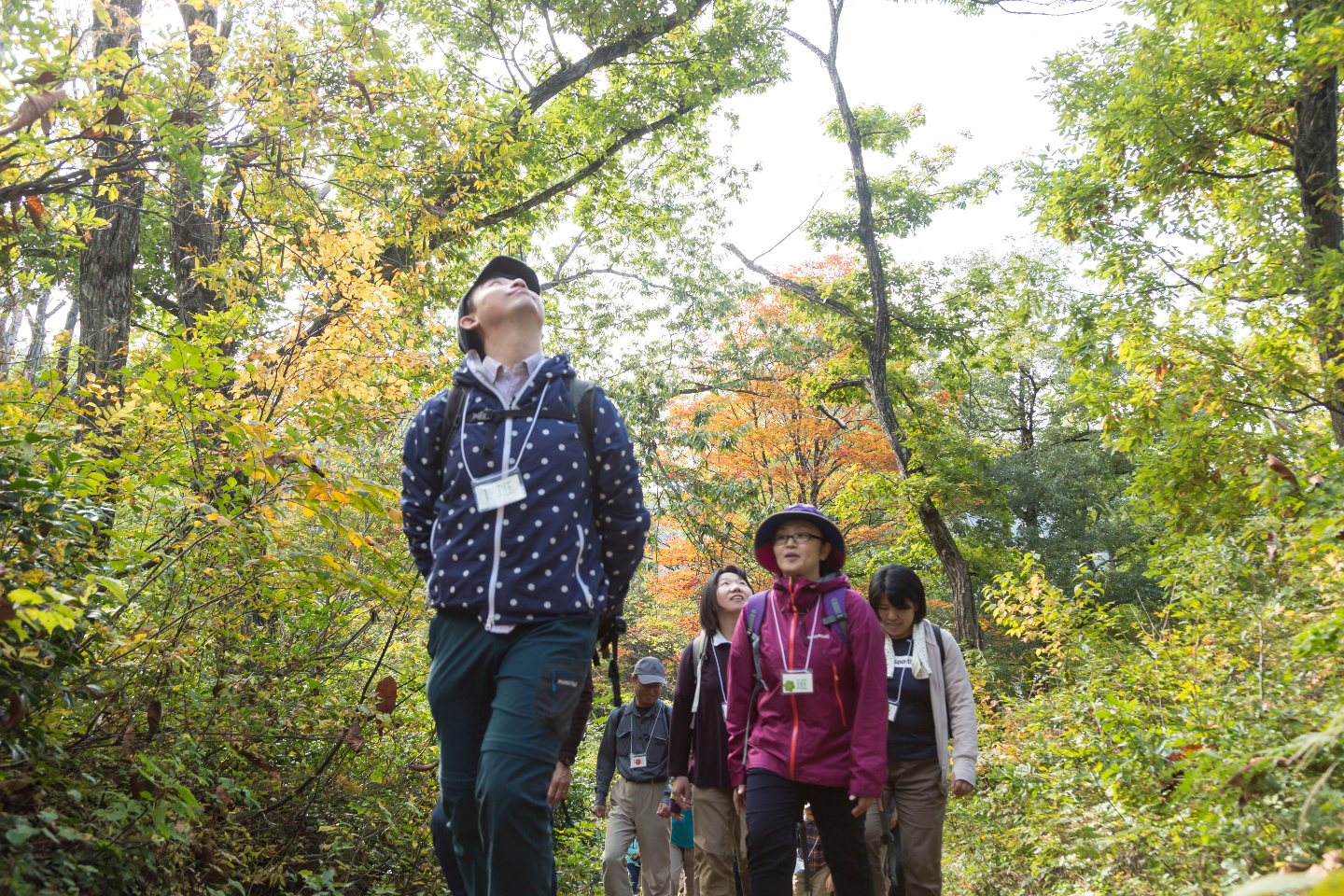 新潟県のバスツアーの予約 日本旅行 オプショナルツアー アクティビティ 遊びの体験予約