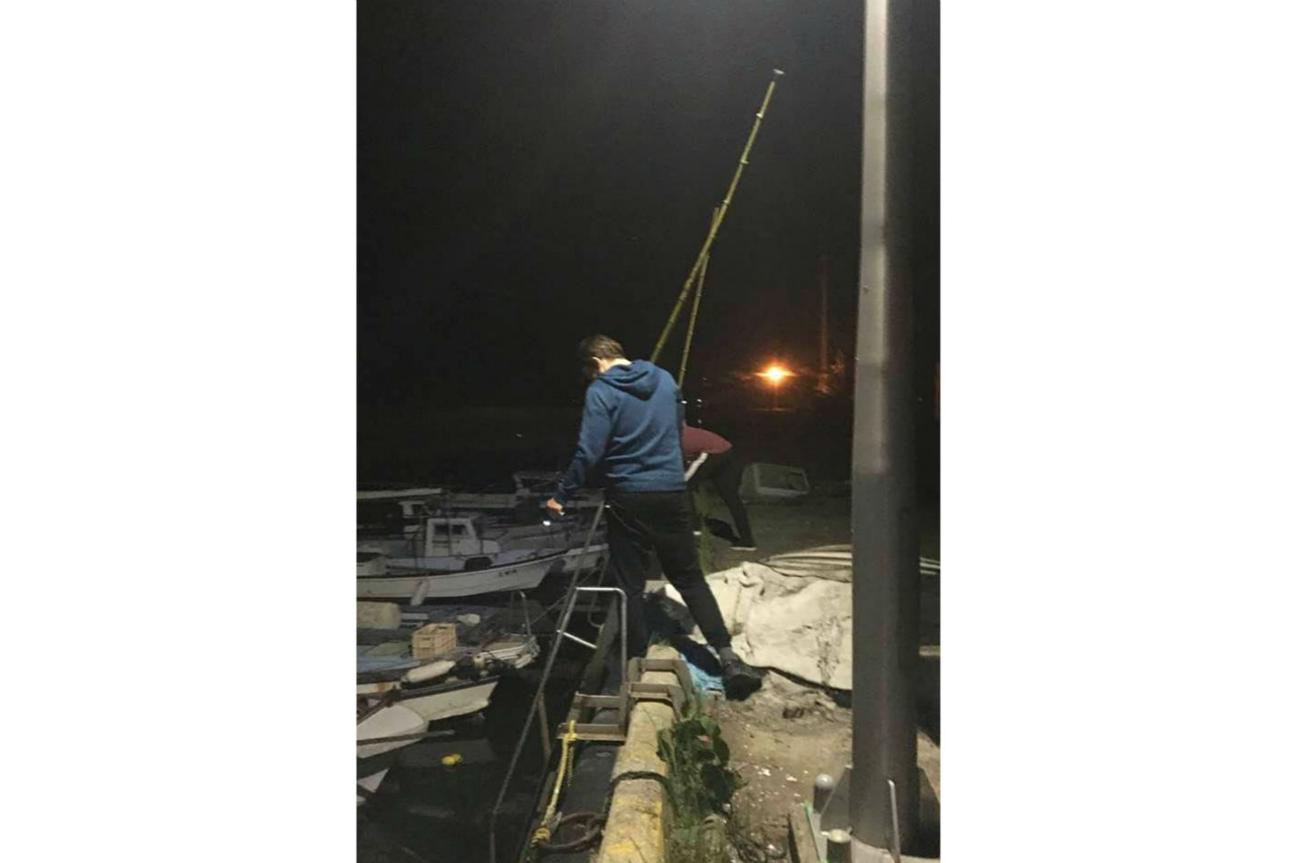 【岡山・牛窓・生きもの観察】夜の海辺を散策、生物観察～捕獲できたらお持ち帰り♪ 写真5