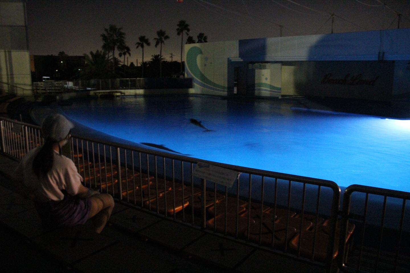 【愛知・南知多・夜の水族館】ナイトアクアリウムツアー（事前予約制）