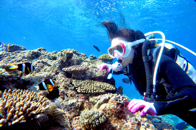 【沖縄・北谷・体験ダイビング】サンゴと魚たちの楽園へレッツゴー！体験ダイビング 写真6