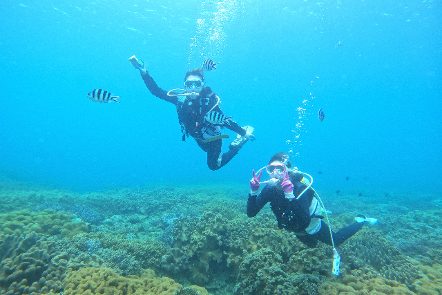 【沖縄・北谷・体験ダイビング】サンゴと魚たちの楽園へレッツゴー！体験ダイビング 写真3