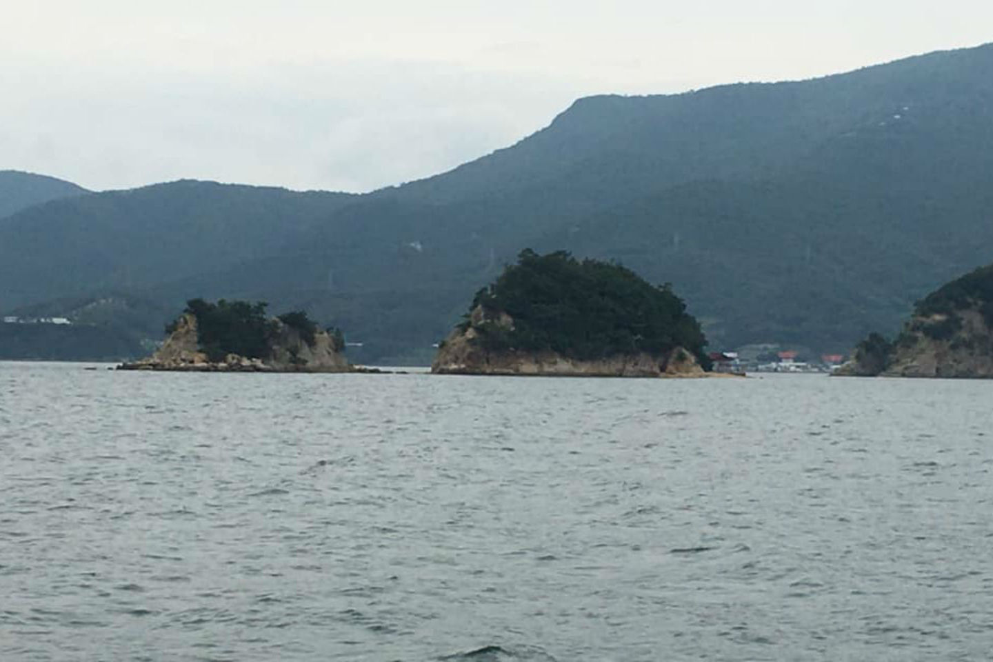 【岡山・牛窓・船釣り】船釣りプラン（牛窓沖） 写真4