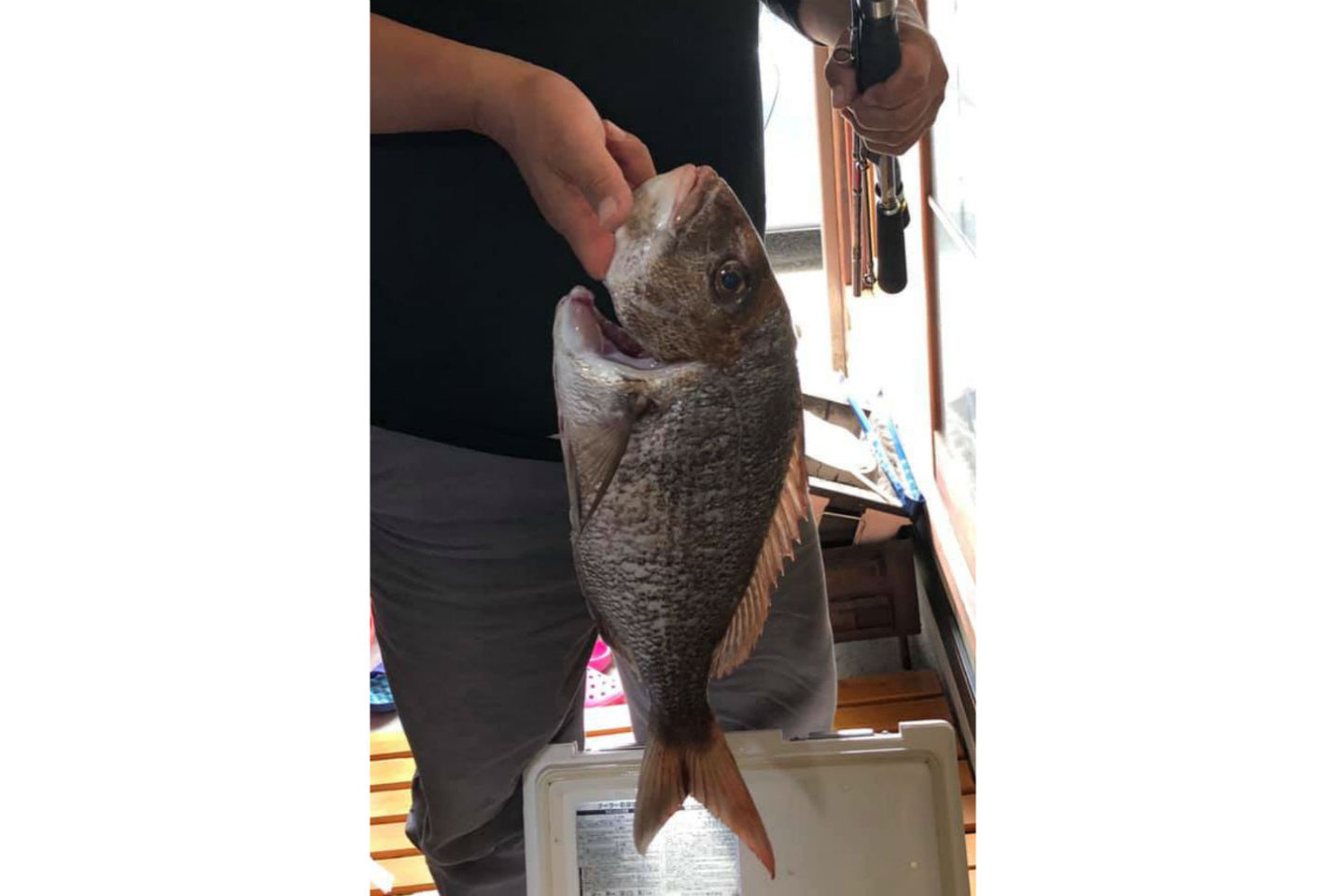 【岡山・牛窓・船釣り】船釣りプラン（牛窓沖） 写真7