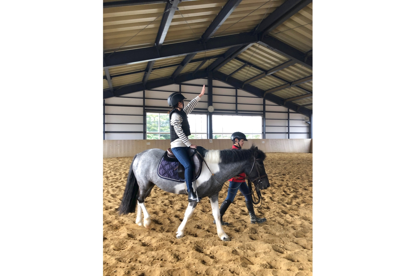 【三重・津市・乗馬体験】初心者歓迎！乗馬の基本動作を学ぼう！ランチパック付き乗馬体験 写真4