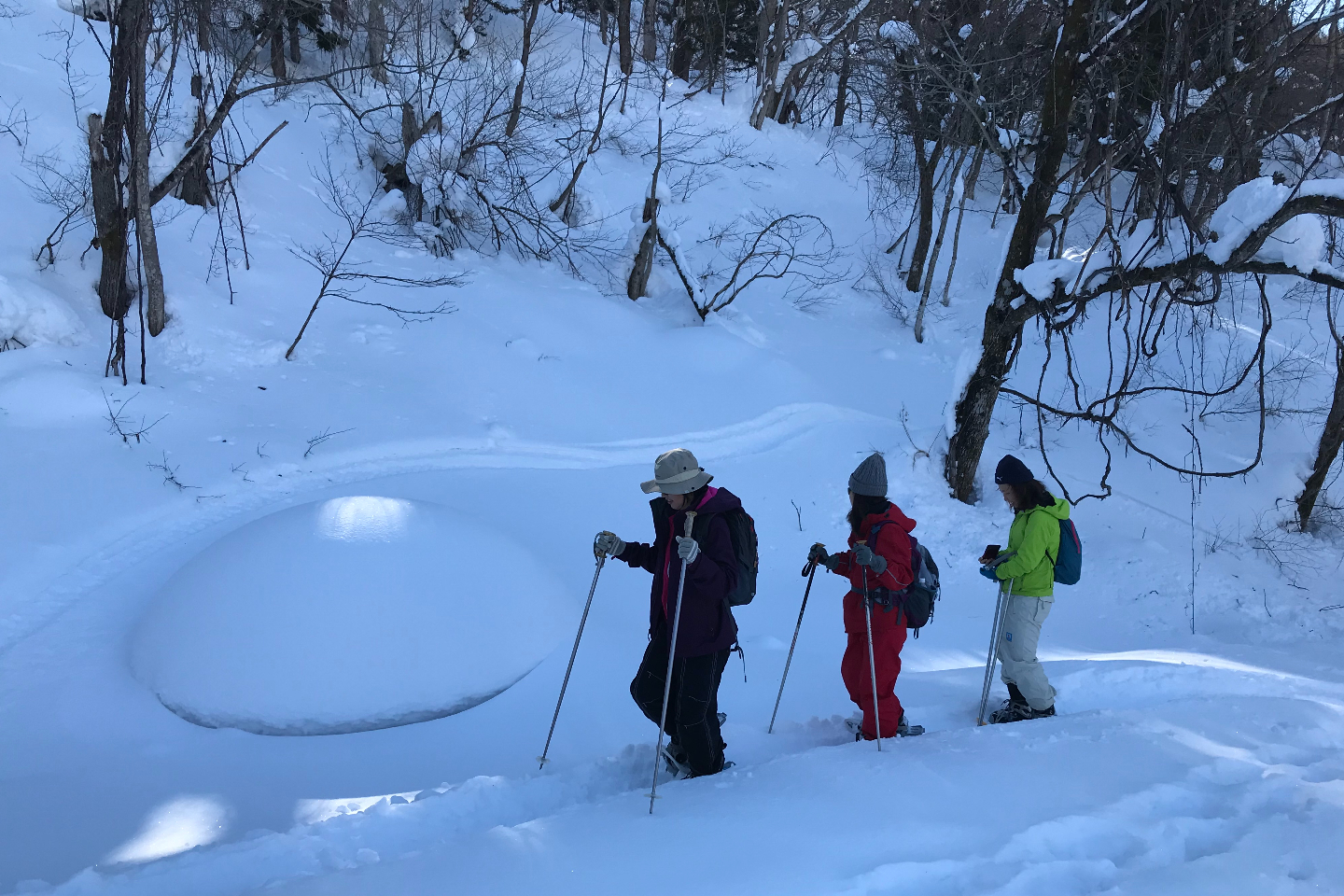 【2.5%還元】【長野・白馬・スキー】新感覚雪遊びのスキー体験!歩くスキーでスノーハイキング【2名から予約可能】