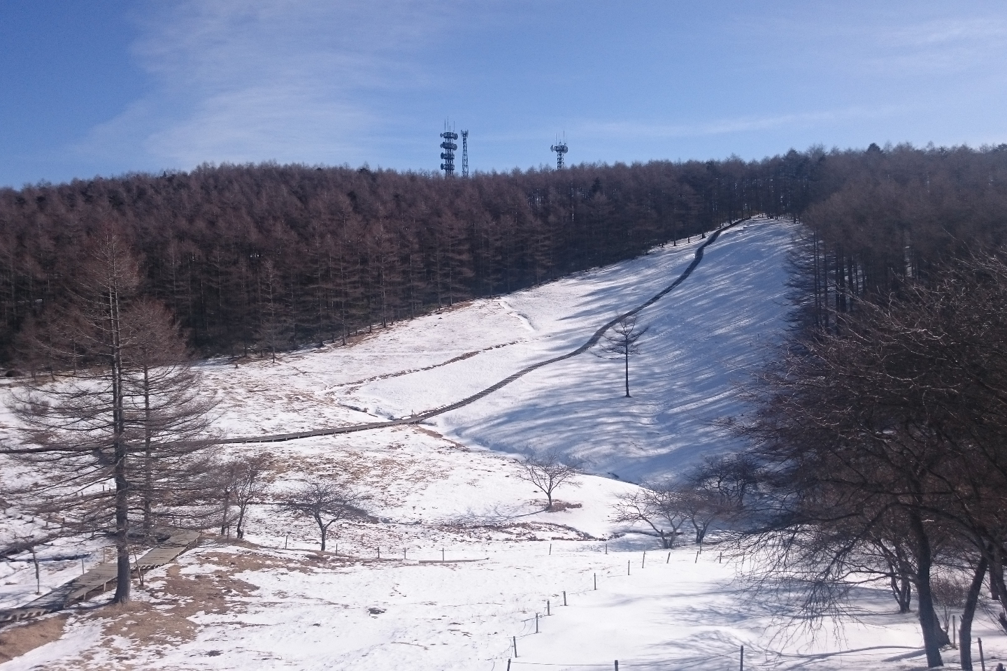 【2.5%還元】【長野・富士見・スノーシュー】雪山登頂入門プラン!入笠山登頂スノーシューハイク【2名から予約可能】