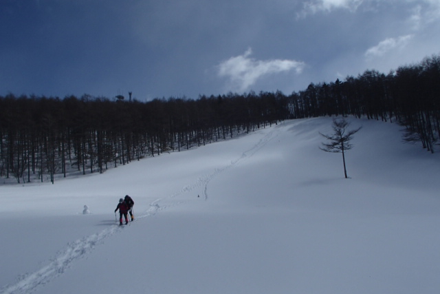 【長野・富士見・スノーシュー】2名様以上で団体割引あり！雪山登頂入門プラン！入笠山登頂スノーシューハイク 写真7