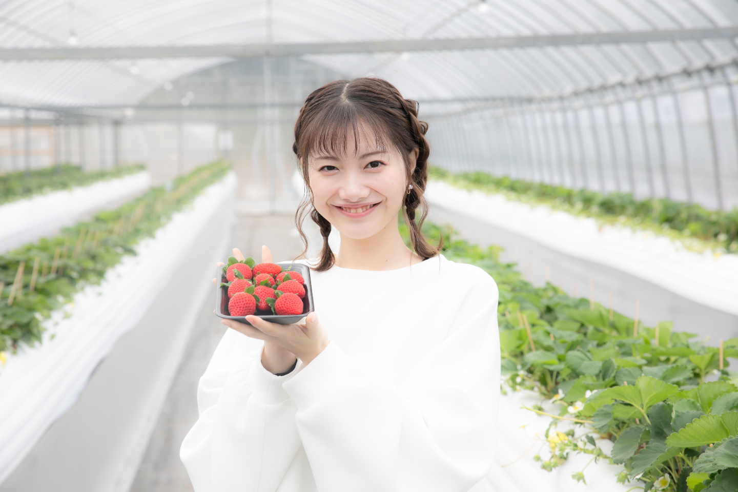 【佐賀・江北・いちご狩り】あま～い！いちご40分食べ放題♪いちご狩り体験（いちごさん・さがほのか） 写真5