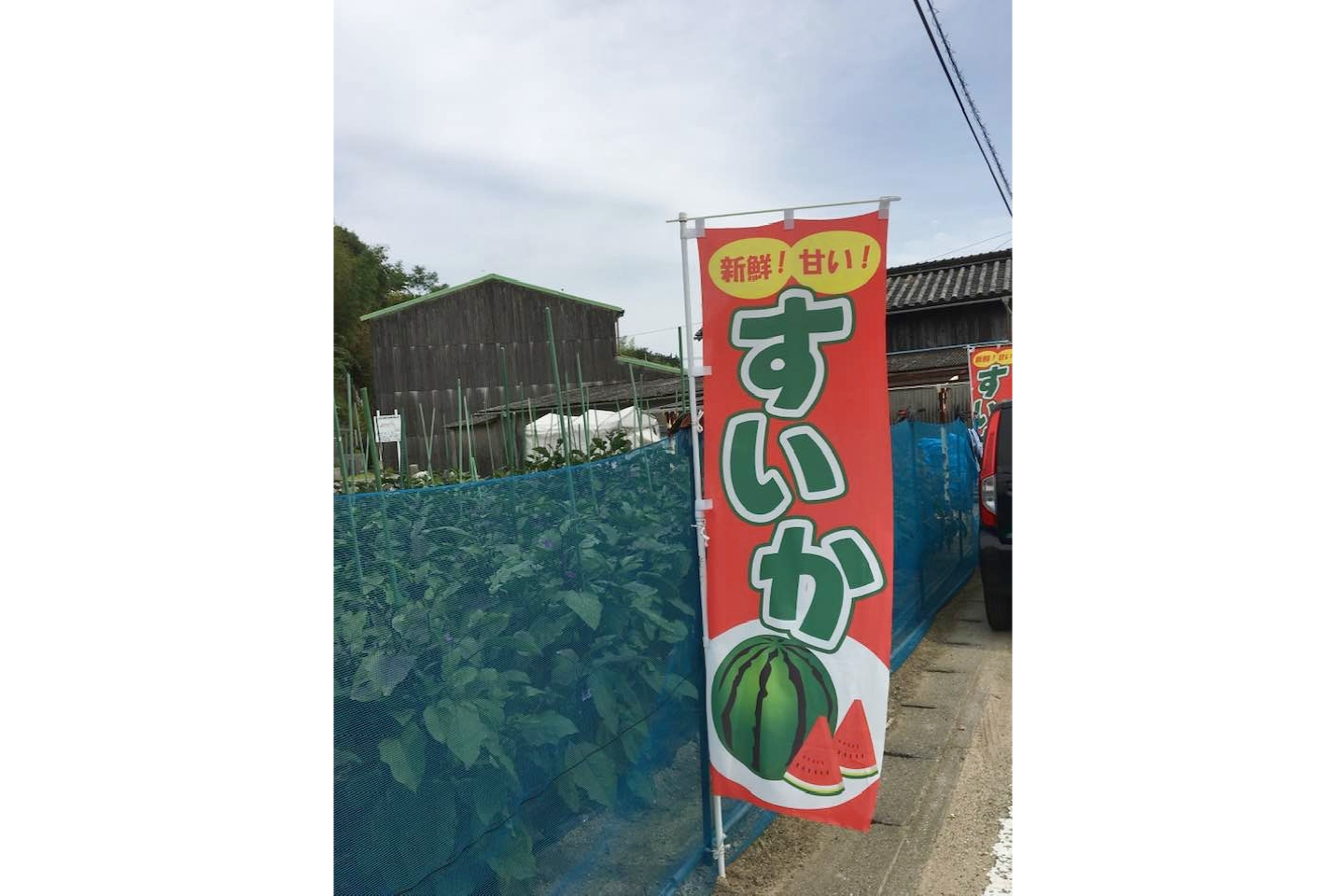 【岡山・牛窓・農業体験】畑で収穫！旬の野菜、牛窓の実りをお裾分け♪ 写真5