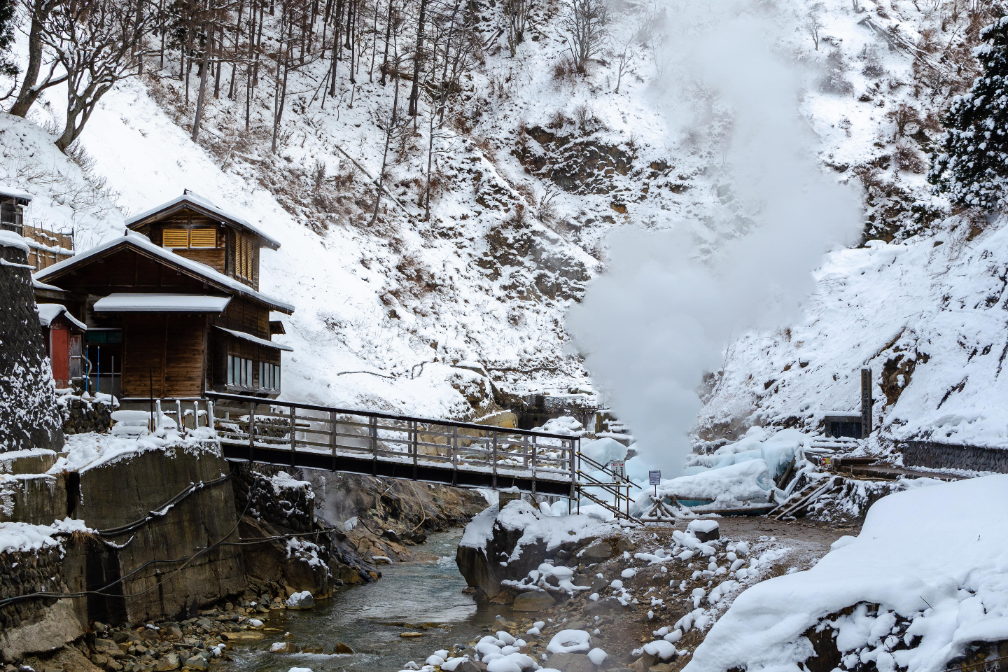 現地観光プラン レジャーチケット 定期観光バス 長野市発着 地獄谷 観光タクシー Sns映えに最適 ジブリ映画で有名な温泉へ行こう