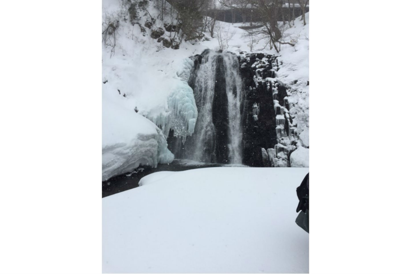 【北海道・羅臼・スノーシュー】真っ白な雪の世界を満喫！スノーシュートレッキング 写真5