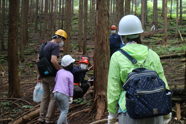 【東京・奥多摩・DIY体験】木の伐倒からDIYまで！森の体験ワークショップ 写真4
