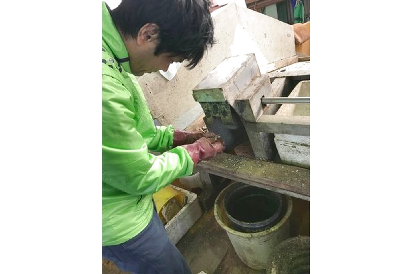 【岡山・笠岡・漁業】自分で収穫した牡蠣をお持ち帰り♪ 牡蠣網オーナー体験 写真4