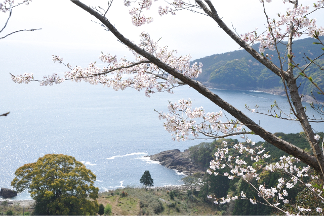 【三重・熊野・ピザ作り体験】記念日のお祝いに最適！絶景のテラスを貸し切って本格ピザ焼き体験 写真7