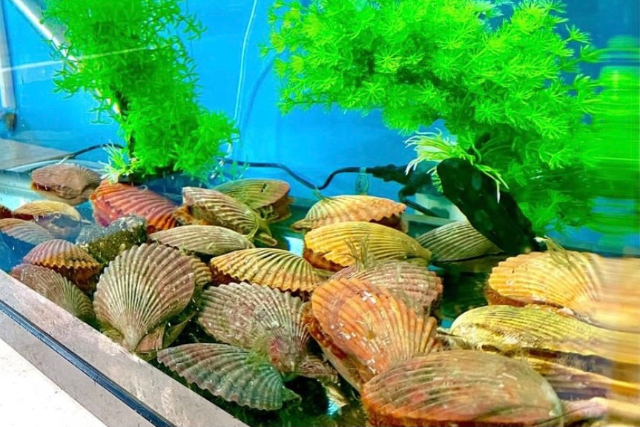【大分・別府・日帰り温泉】グループでお得！別府の魅力をフルコースで味わう 写真5