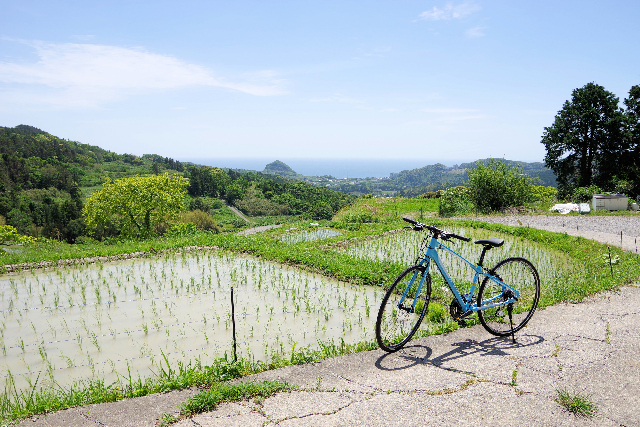 【千葉・鴨川・レンタサイクル】スポーツバイク初心者にもおすすめ！クロスバイクレンタル2時間～ 写真5